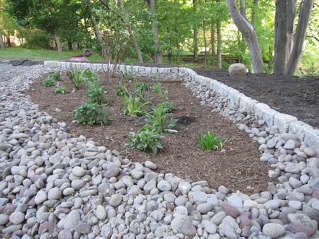 The Rain Garden