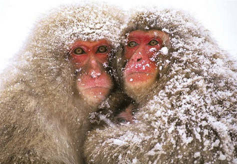natgeo