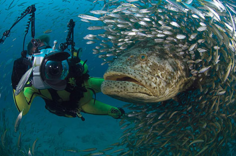 natgeo