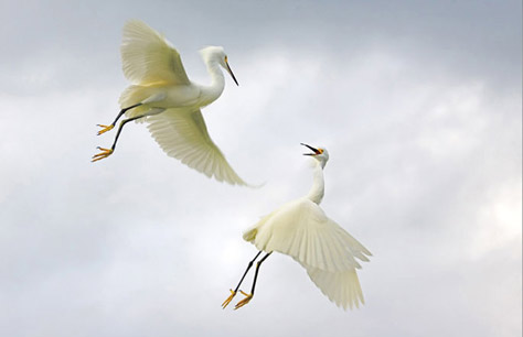 natgeo